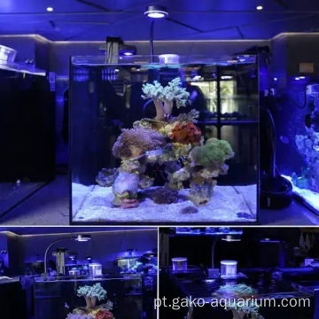 Lâmpada de aquário de água salgada LED para LPS coral